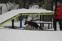 /album/ljutsifjera-na-vystavkakh/img-8989-800x600-jpg/